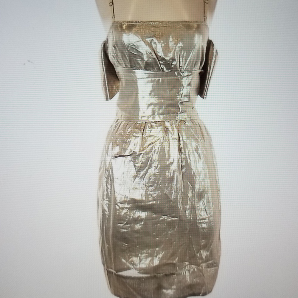 STELLA MCCARTNEY NWT CHAMPAGNE DRESS US SZ 2